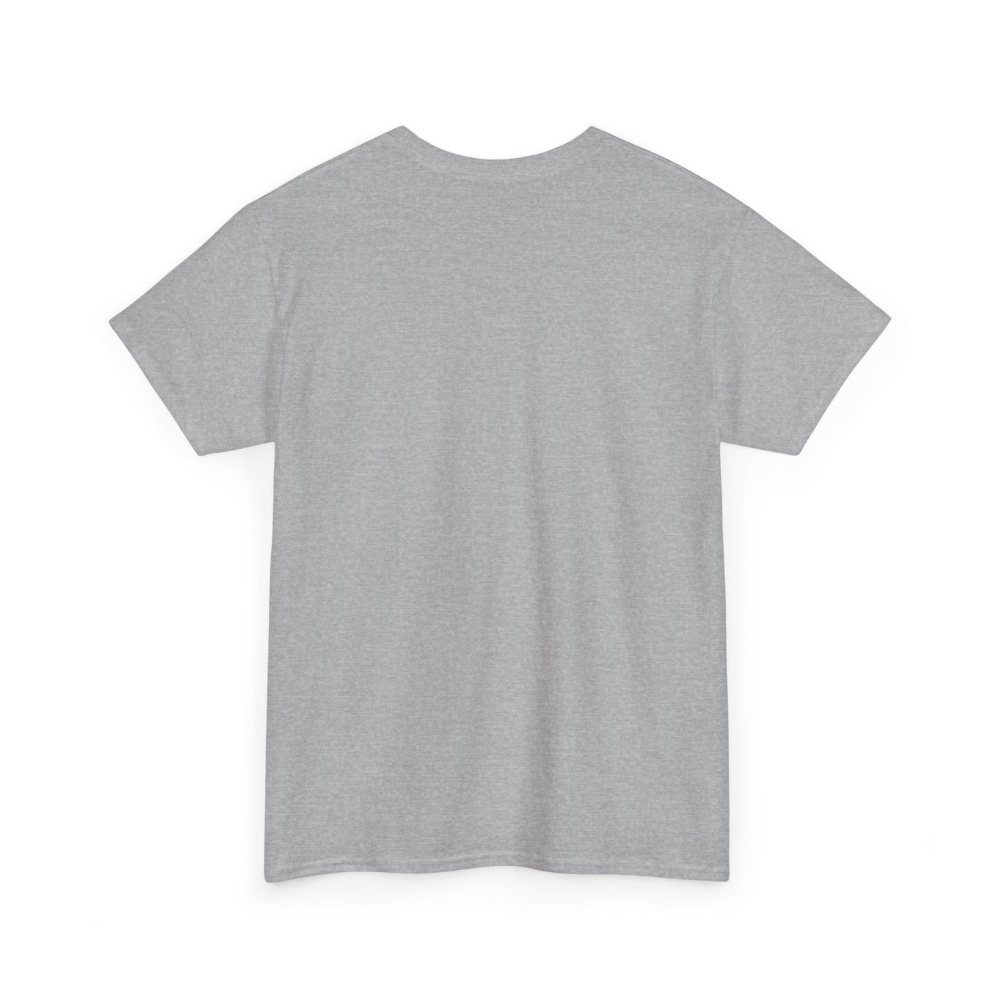 T-Shirt — Veterans Against Trump Graphic Tee